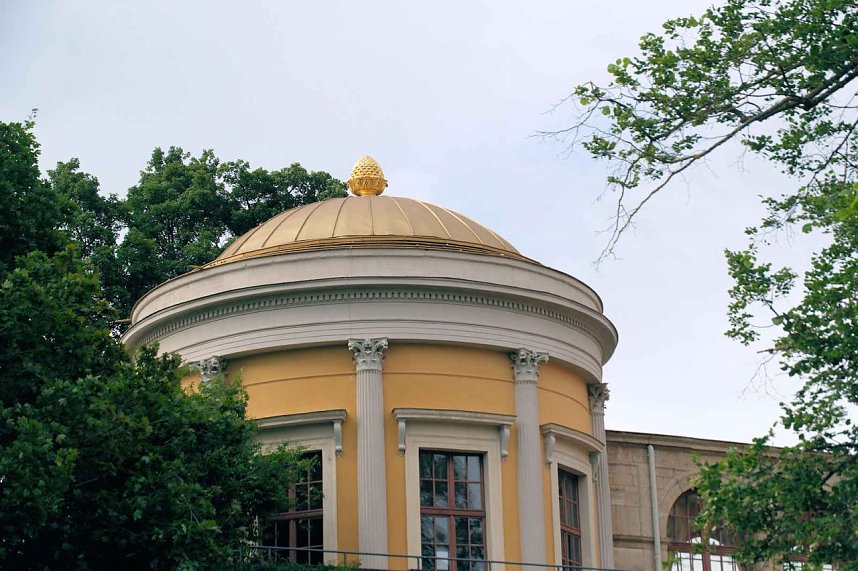 Peter Blei unterwegs auf Schwanensuche