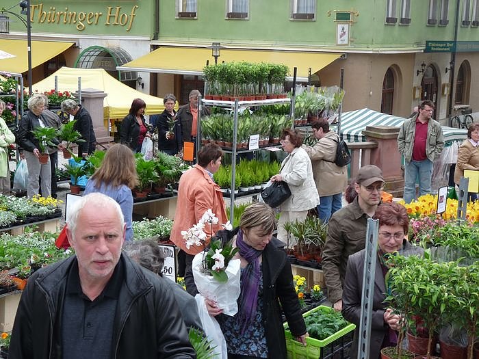 Pflanzenmarkt Sondershausen