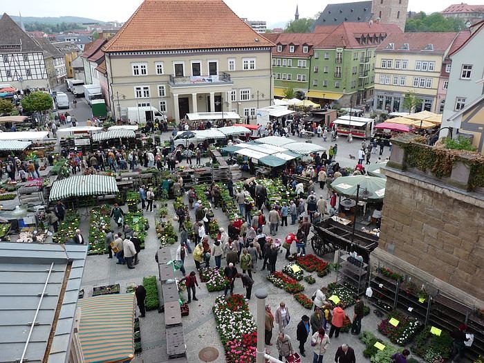 Pflanzenmarkt Sondershausen