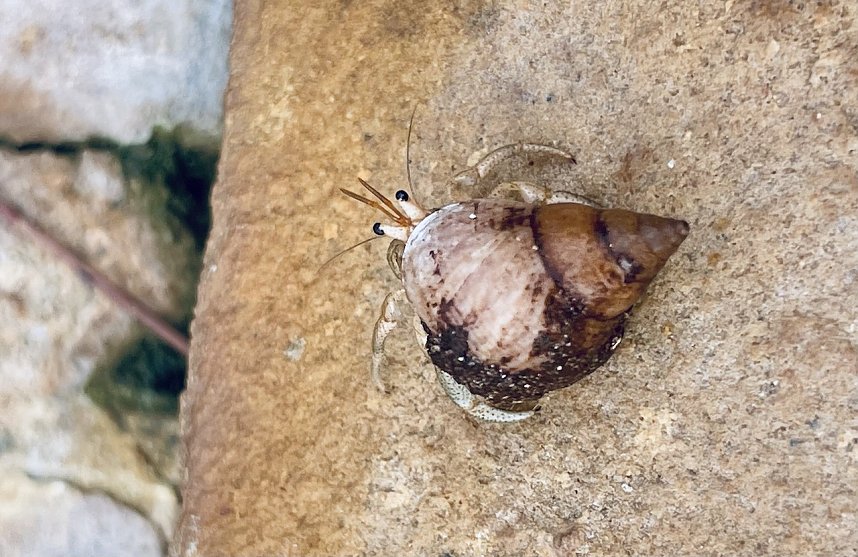 Impressionen von der Insel Sansibar