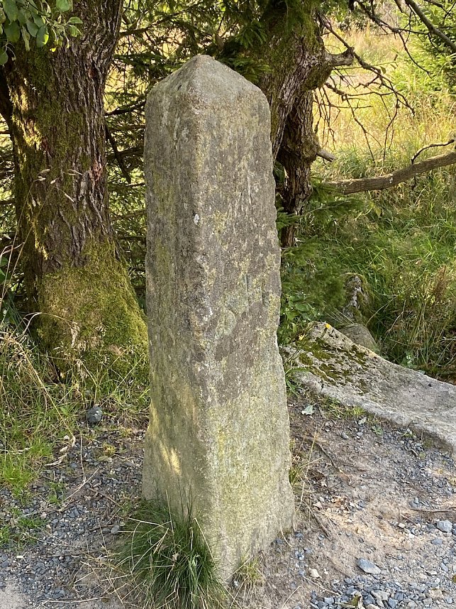 Sommerwanderung zum Brocken