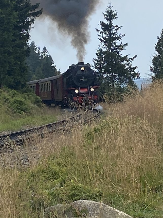 Sommerwanderung zum Brocken