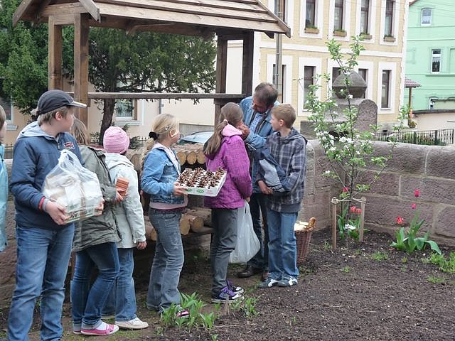 Bau eines Insektenhotels
