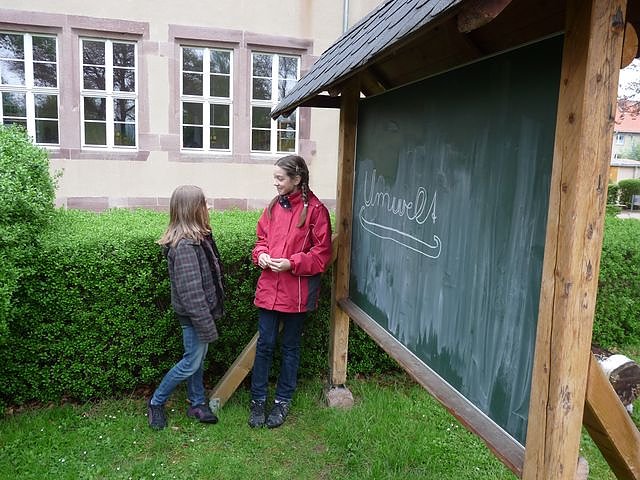 Bau eines Insektenhotels