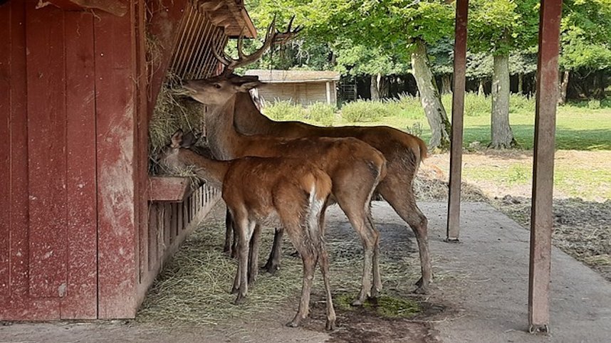 Ein Tag in der Natur