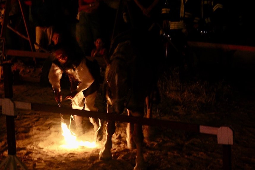 Hochprofessionelle Reitershow mit "Wenzel Ritterspiele"