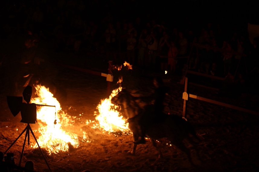 Hochprofessionelle Reitershow mit "Wenzel Ritterspiele"