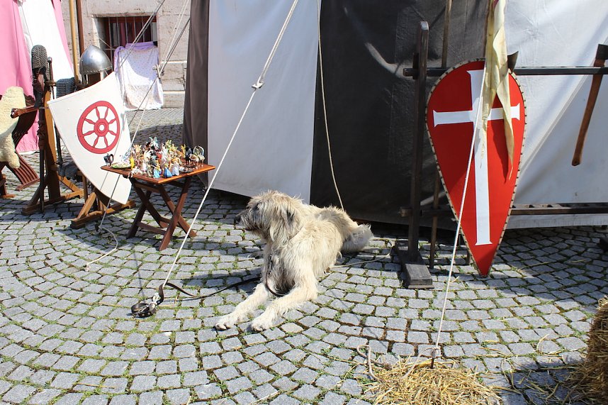 30. Mittelalterfest in Bad Langensalza