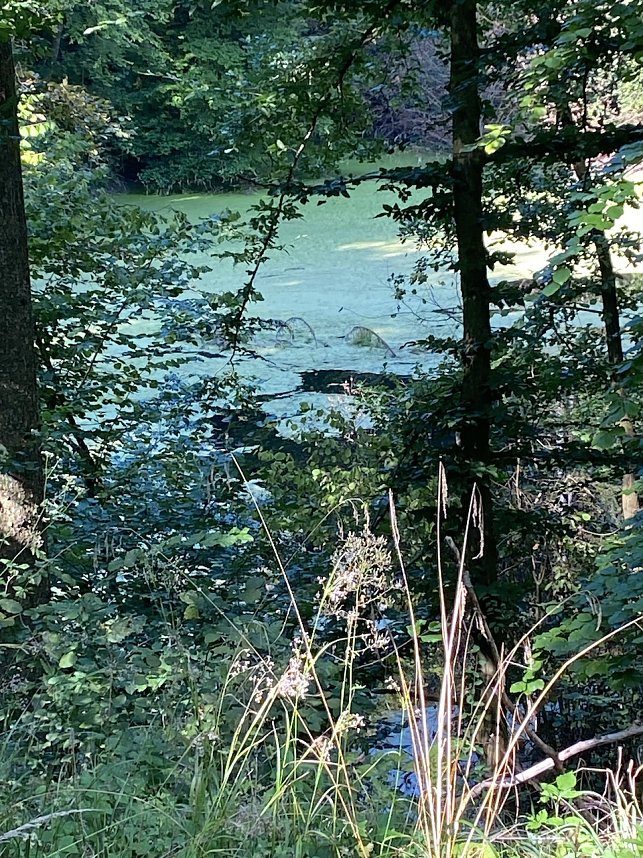 Silker&ouml;der H&uuml;gelland