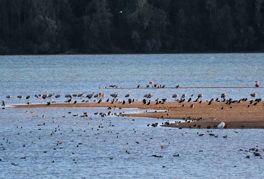 Erster Besuch der Saison