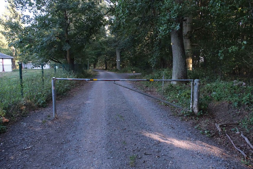 Peter Blei beim Waldspaziergang