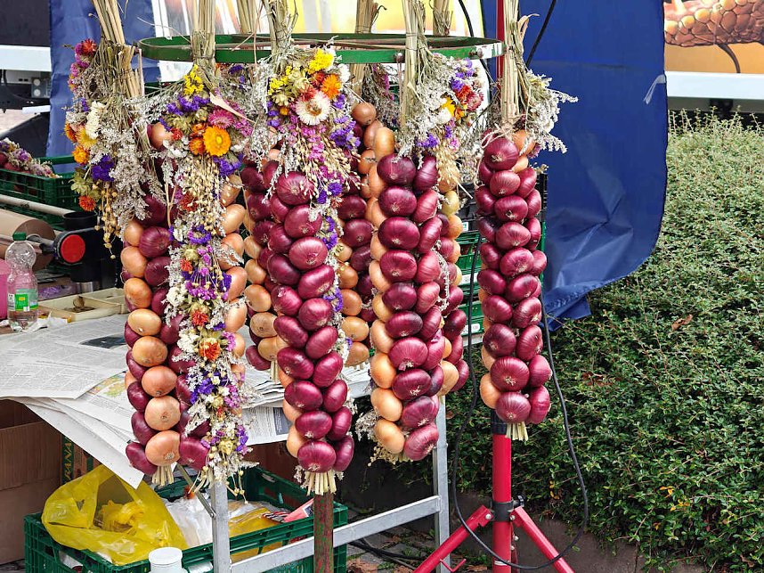 Zweibelmarkt in Artern