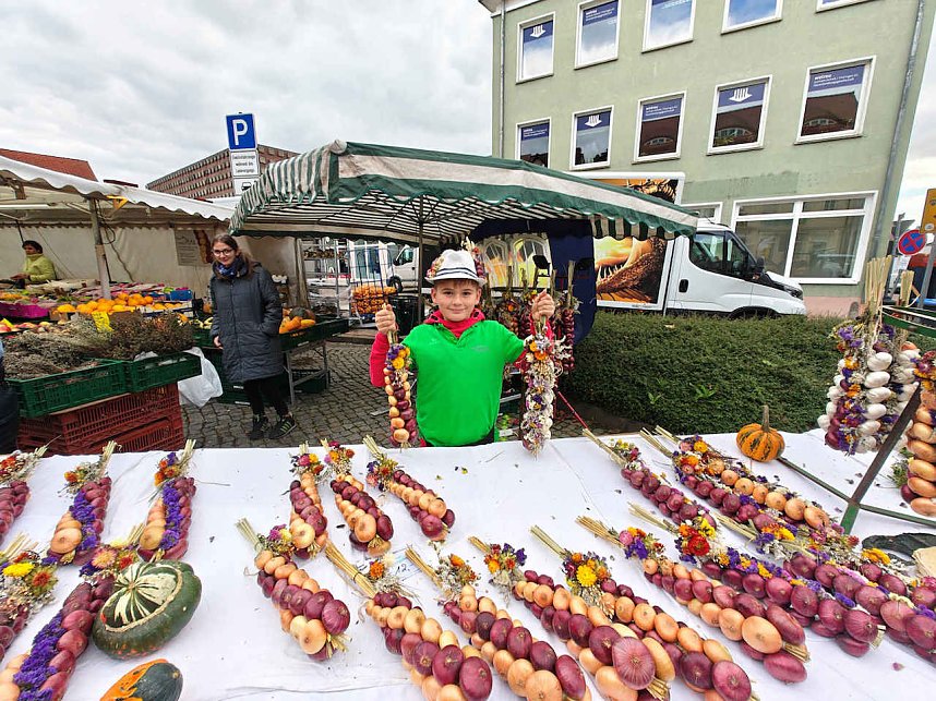Zweibelmarkt in Artern