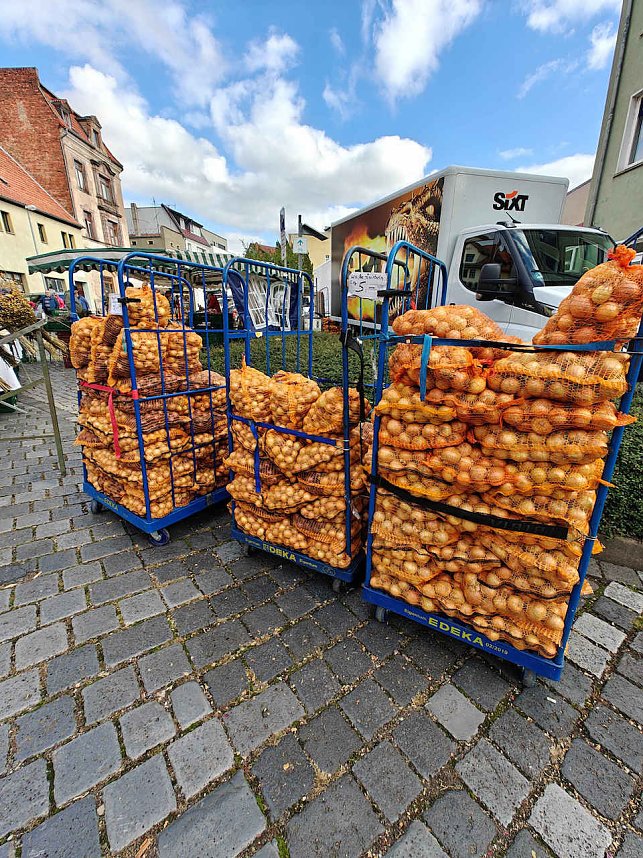 Zweibelmarkt in Artern