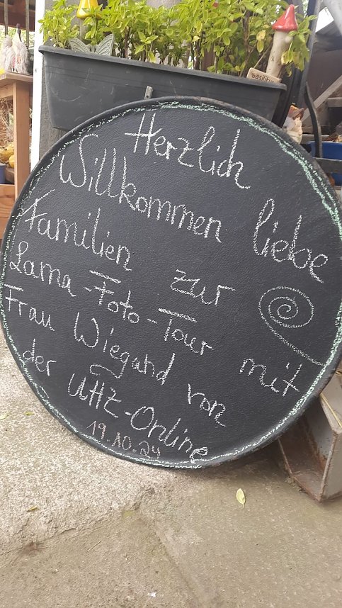 Unterwegs mit den Unstrut Lamas aus Herbsleben