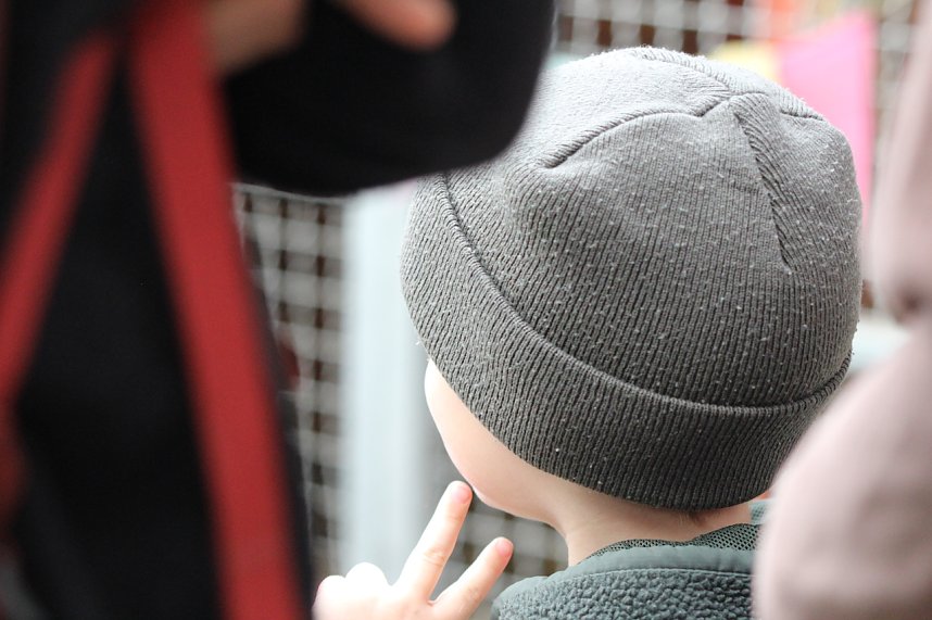 Unterwegs mit den Unstrut Lamas aus Herbsleben