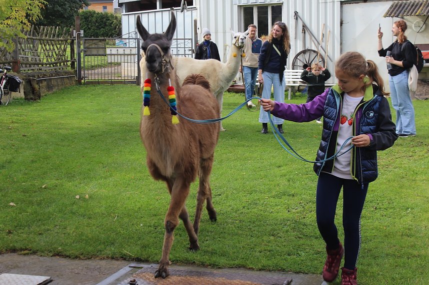 Unterwegs mit den Unstrut Lamas aus Herbsleben