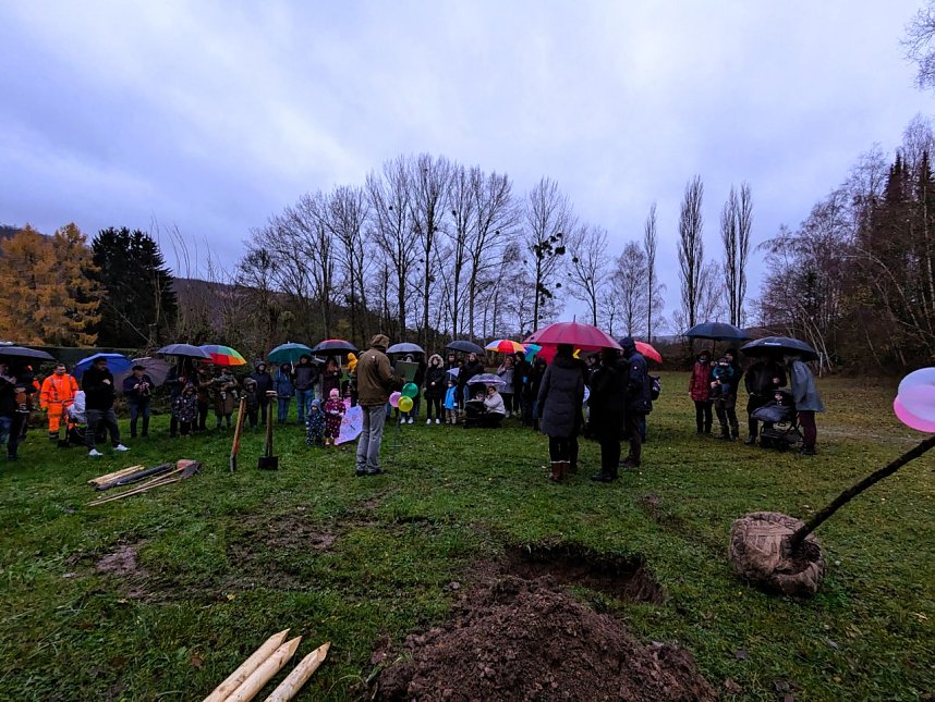 Pflanzaktion in Bebra