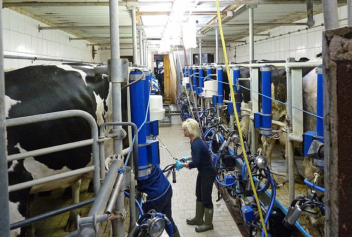 Im Agrarunternehmen Oldisleben