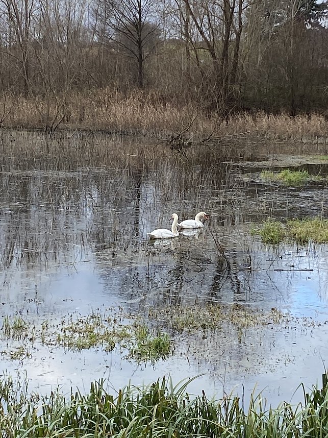 Aktivit&auml;ten des Heinleite- Wanderklubs im Dezember
