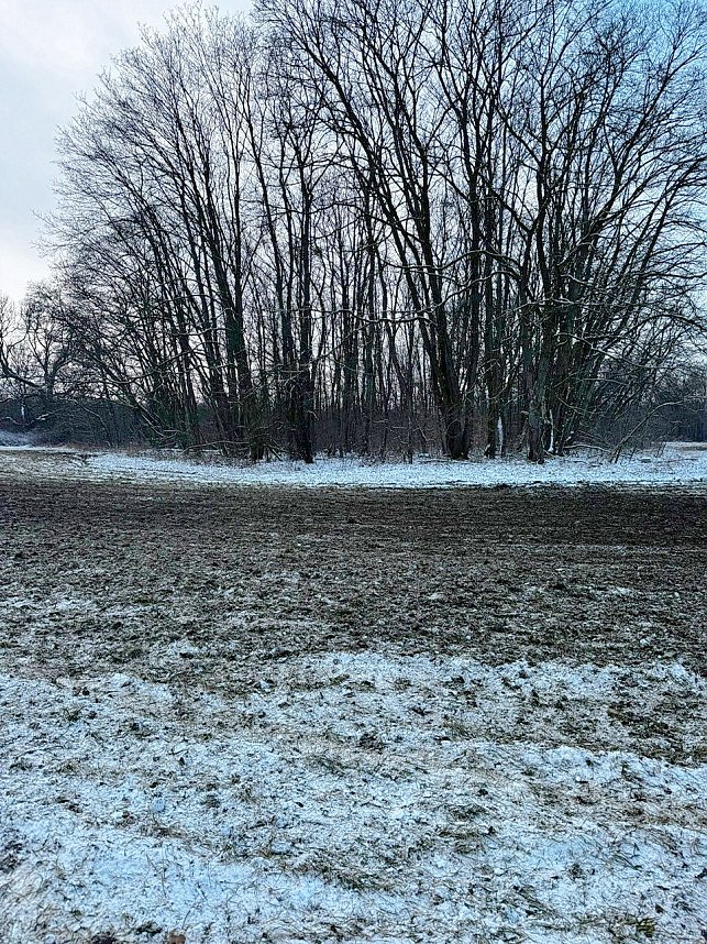 Autofahrer zerst&ouml;ren Gr&uuml;nfl&auml;chen