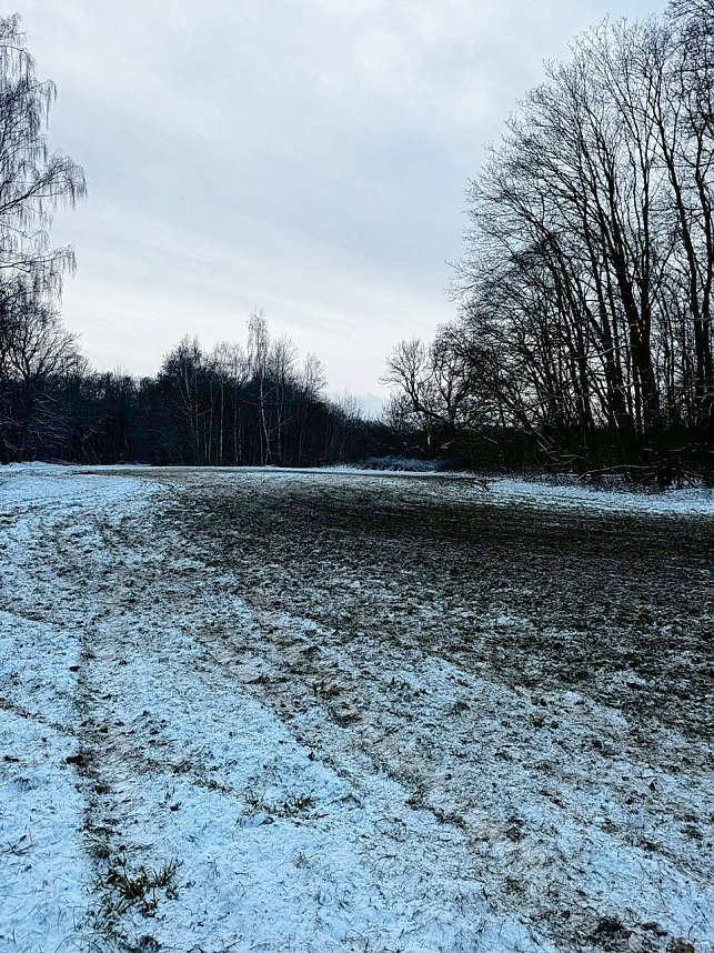 Autofahrer zerst&ouml;ren Gr&uuml;nfl&auml;chen