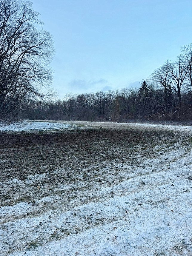 Autofahrer zerst&ouml;ren Gr&uuml;nfl&auml;chen