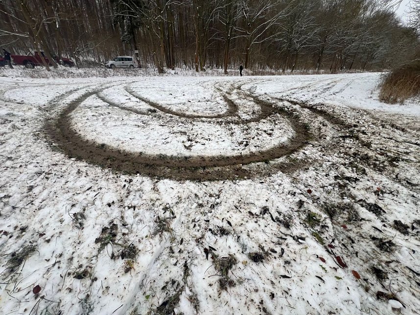 Autofahrer zerst&ouml;ren Gr&uuml;nfl&auml;chen