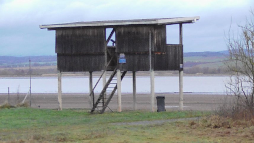 Morgenrunde am Stausee Kelbra