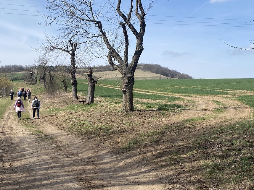 Steinkreuze, Grenzsteine, Mayas und andere Merkw&uuml;rdigkeiten. Wanderung im Februar
