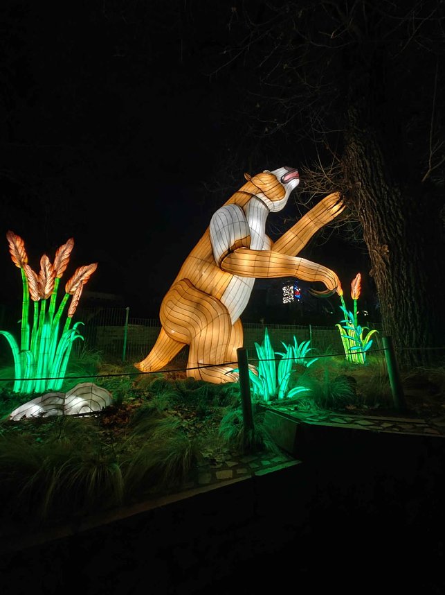 Magische Lichterwelten in Halle