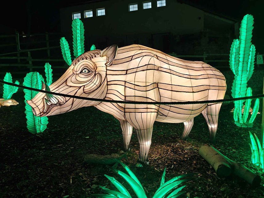 Magische Lichterwelten in Halle
