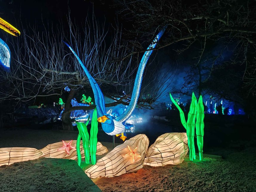 Magische Lichterwelten in Halle