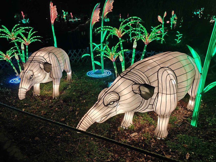 Magische Lichterwelten in Halle