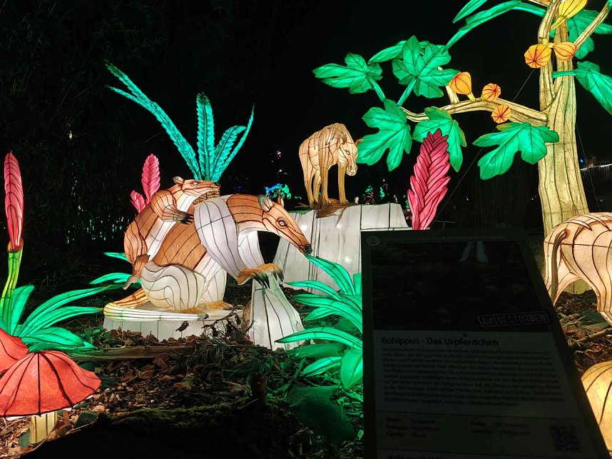 Magische Lichterwelten in Halle