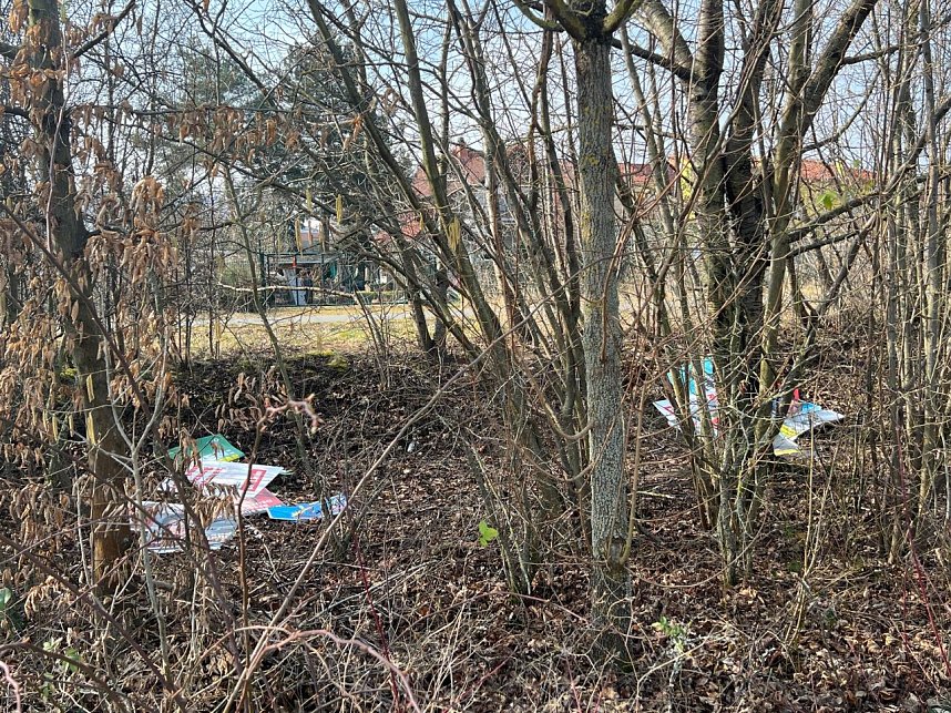 Wahlplakate in Sondershausen verklappt