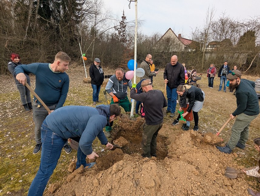 Babybaumaktion in Sondershausen