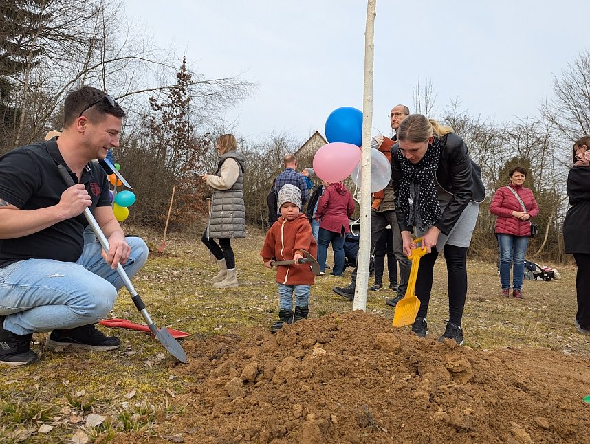 Babybaumaktion in Sondershausen