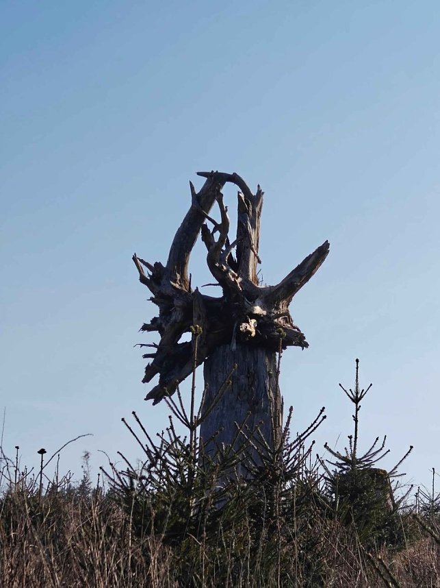 Peter Blei im Harz unterwegs