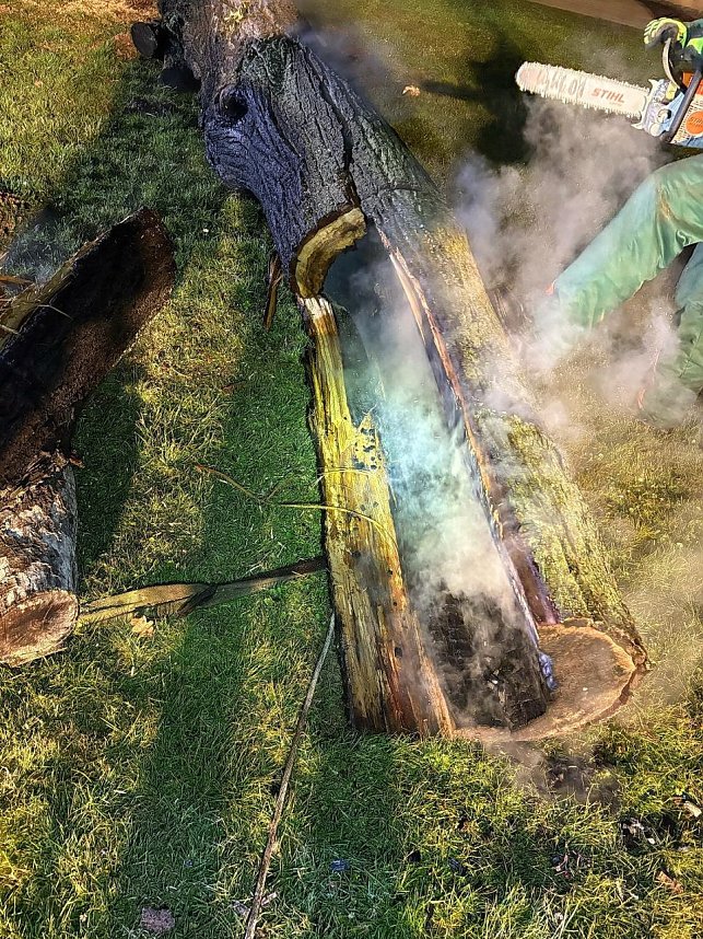 Wieder wurde ein Baum im Sondersh&auml;user Schlosspark angez&uuml;ndet