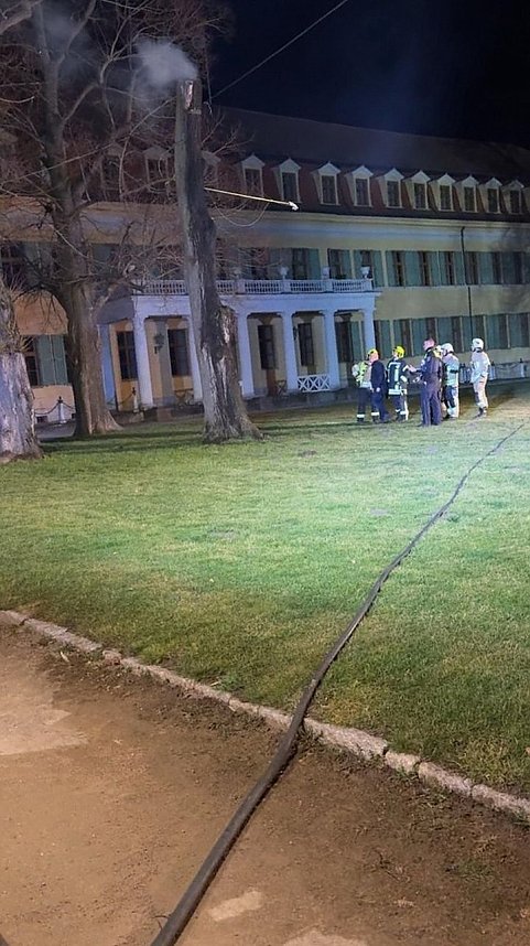 Wieder wurde ein Baum im Sondersh&auml;user Schlosspark angez&uuml;ndet