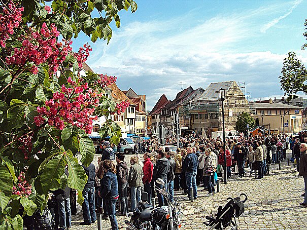 Fliederkorso Bad Frankenhausen