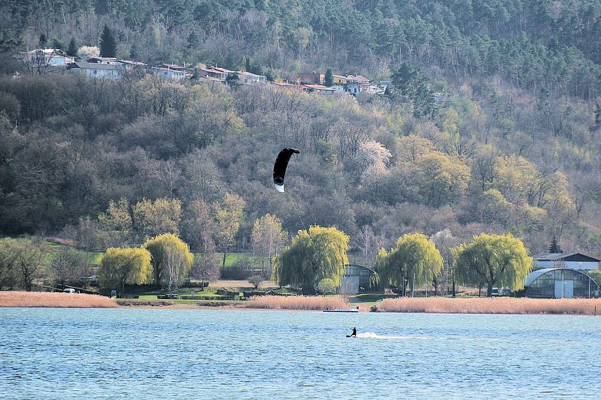 Storch und Co. am Stausee Kelbra