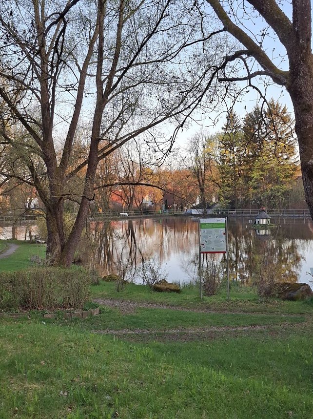 Impressionen von einer doppelten Harzquerung
