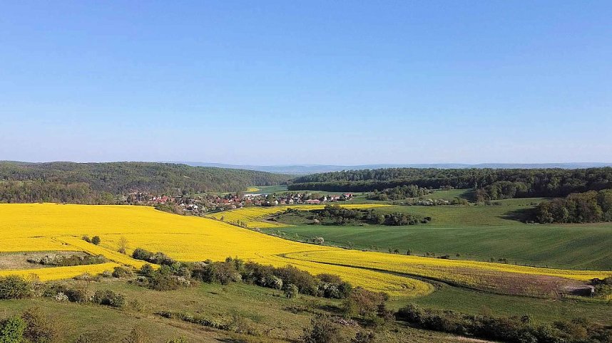 Gelbe Fr&uuml;hlingsstimmung