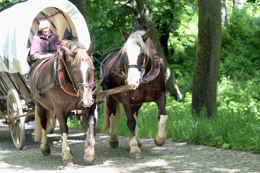 500 Jahre nach dem Bauernkrieg stellen 30 Darsteller in historischen Gew&auml;ndern den M&uuml;ntzer-Zug nach und machen Station in Ebeleben