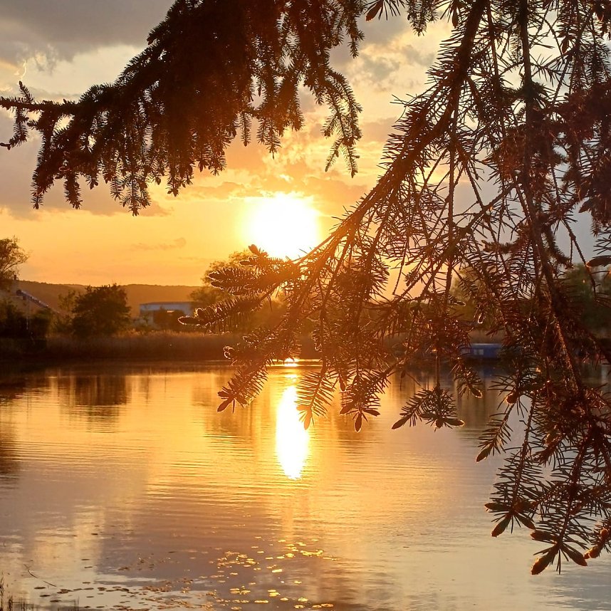 A....bombenmeisterschaft im Naturschwimmbad Heldrungen