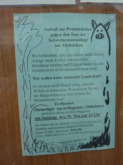 Protest gegen Schweinemastanlage