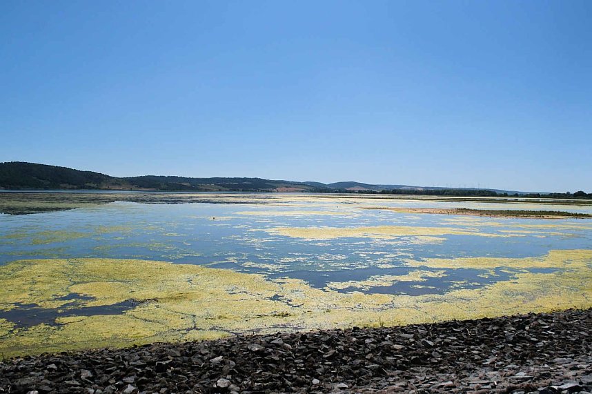 Peter Blei unterwegs am Stausee Kelbra 