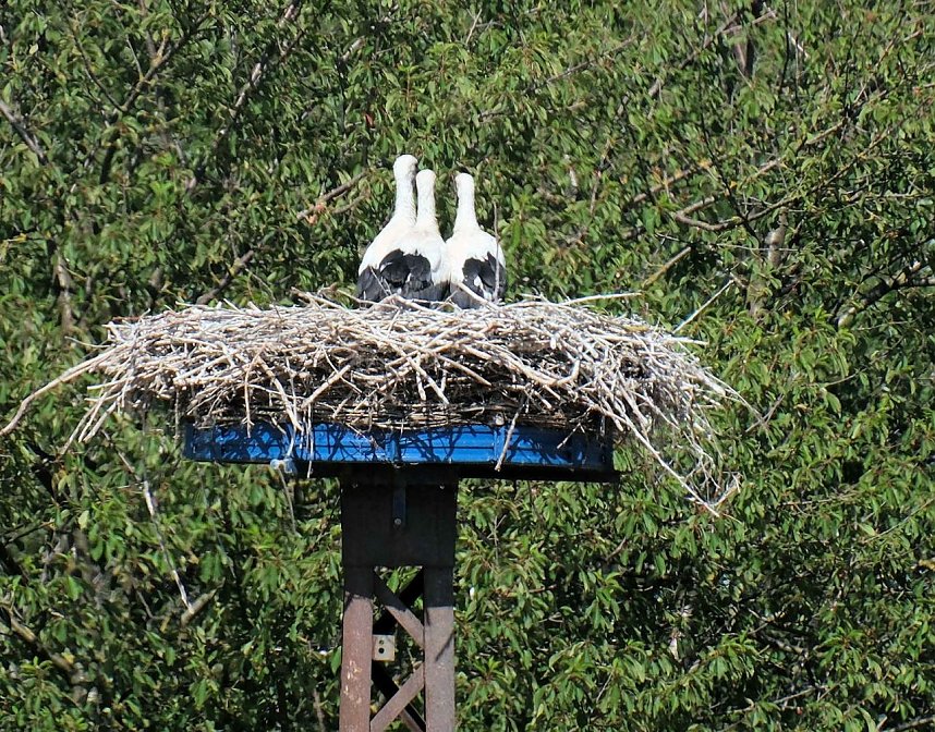 Peter Blei unterwegs am Stausee Kelbra 